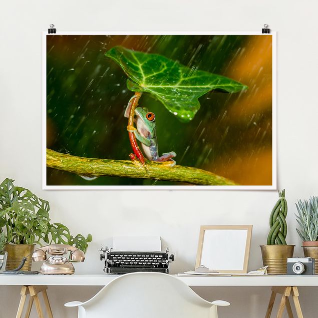 Decoración de cocinas Frog In The Rain