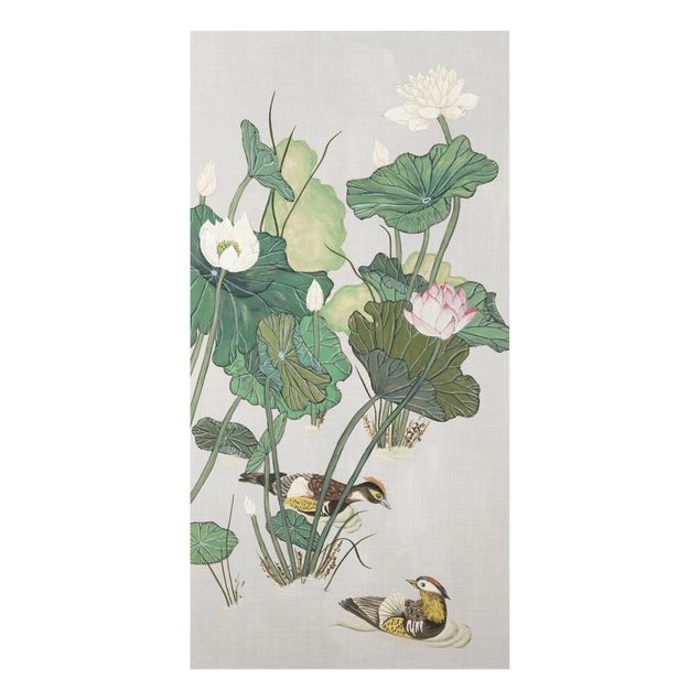 Cuadros de plantas naturales Vintage Illustration Of Lotus Flowers In The Pond