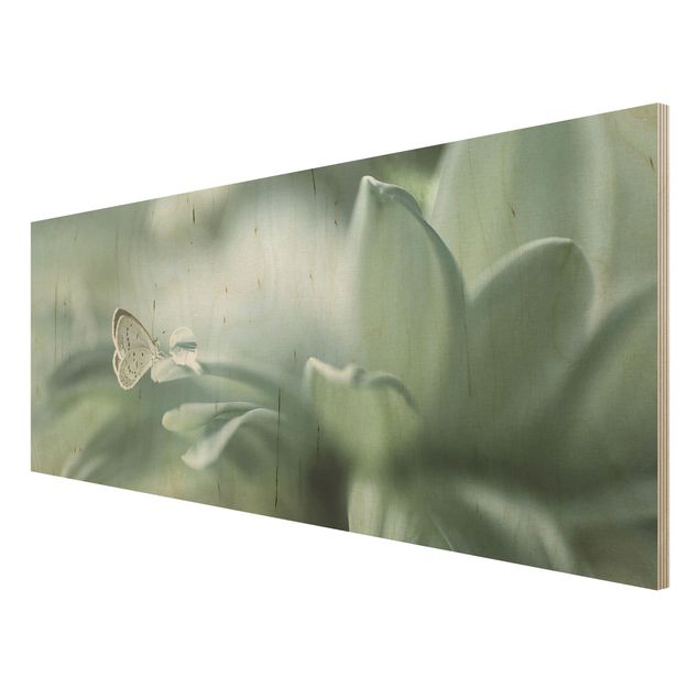 Cuadros modernos Butterfly And Dew Drops In Pastel Green