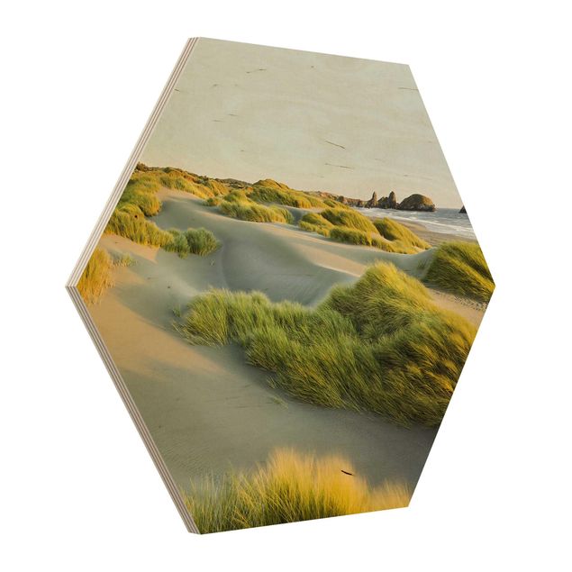 Cuadros de madera paisajes Dunes And Grasses At The Sea