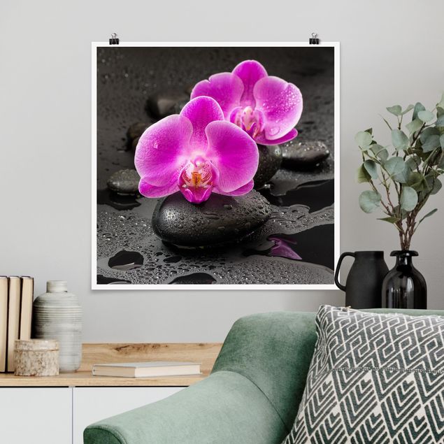 Cuadros de orquideas blancas Pink Orchid Flower On Stones With Drops