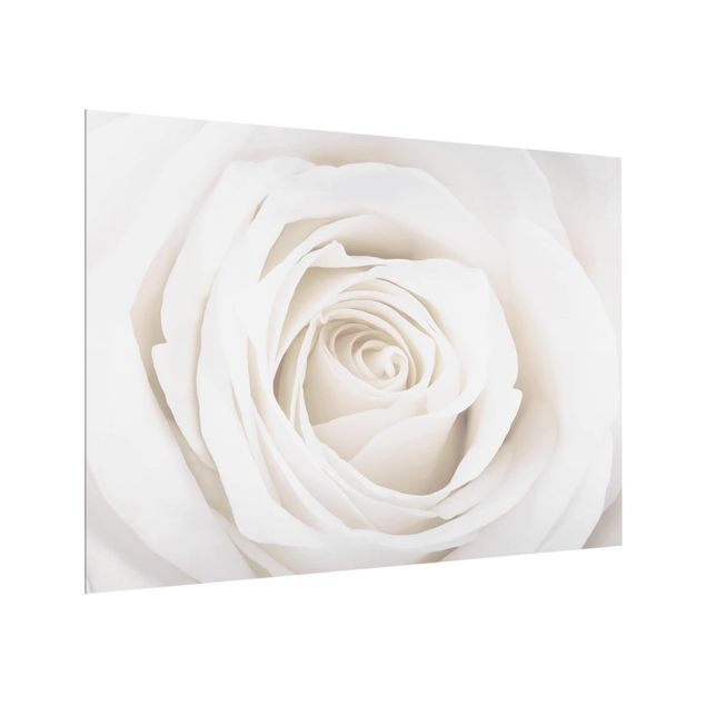 panel-antisalpicaduras-cocina Pretty White Rose