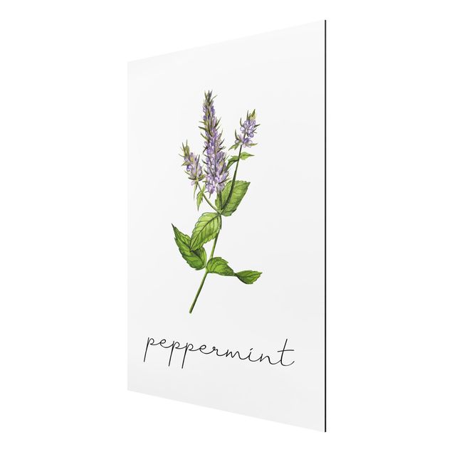 Cuadros de plantas naturales Herbs Illustration Pepper Mint
