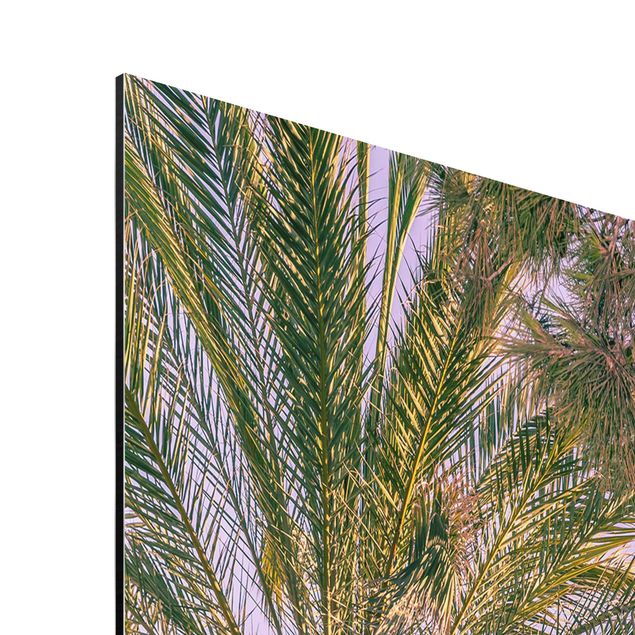 Láminas de cuadros famosos Palm Trees At Sunset