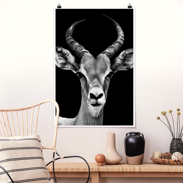 Decoración de cocinas Impala antelope black and white