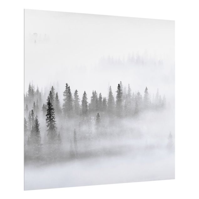 Spritzschutz Glas - Nebel im Tannenwald Schwarz-Weiß - Quadrat 1:1