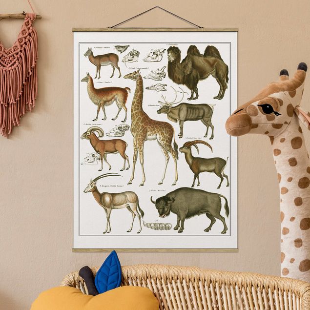 Decoración en la cocina Vintage Board Giraffe, Camel And IIama