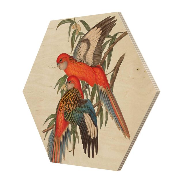 Hexagon Bild Holz - Tropische Papageien I