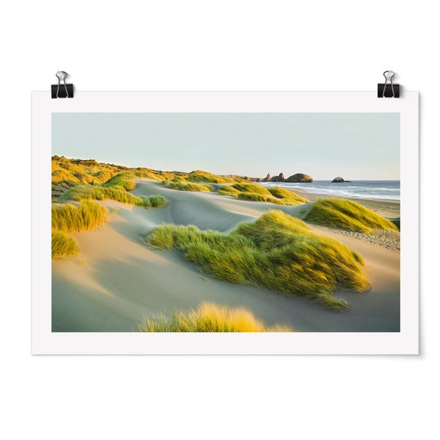 Cuadros playas Dunes And Grasses At The Sea