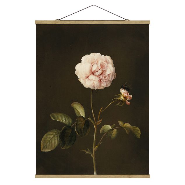 Cuadros plantas Barbara Regina Dietzsch - French Rose With Bumblbee