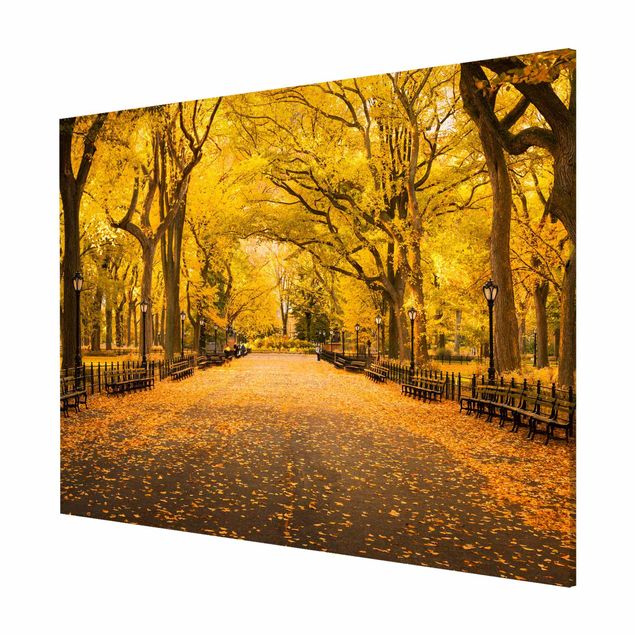 Cuadros ciudades Autumn In Central Park
