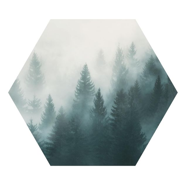 Cuadros modernos y elegantes Coniferous Forest In Fog