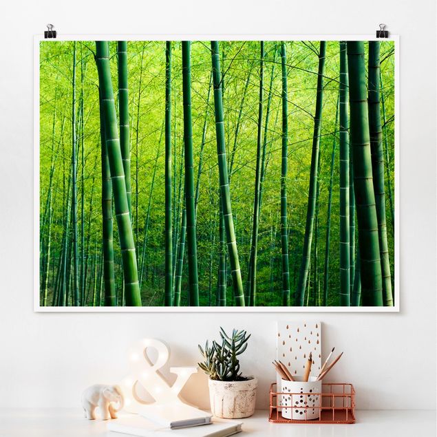 Bamboo panel antisalpicaduras cocina formato horizontal