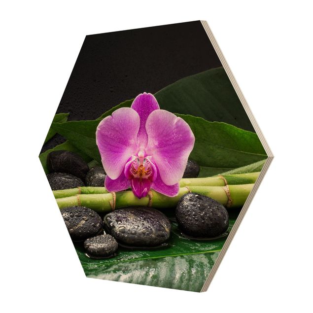 Cuadros de flores Green Bamboo With Orchid Blossom