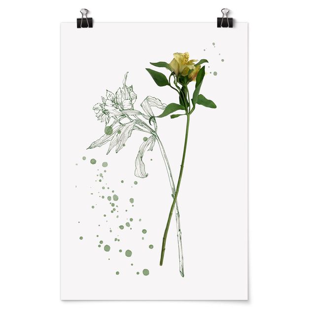 Cuadros de flores Botanical Watercolour - Lily