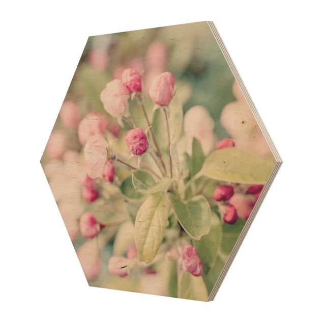 Cuadros Haase Apple Blossom Pink Bokeh