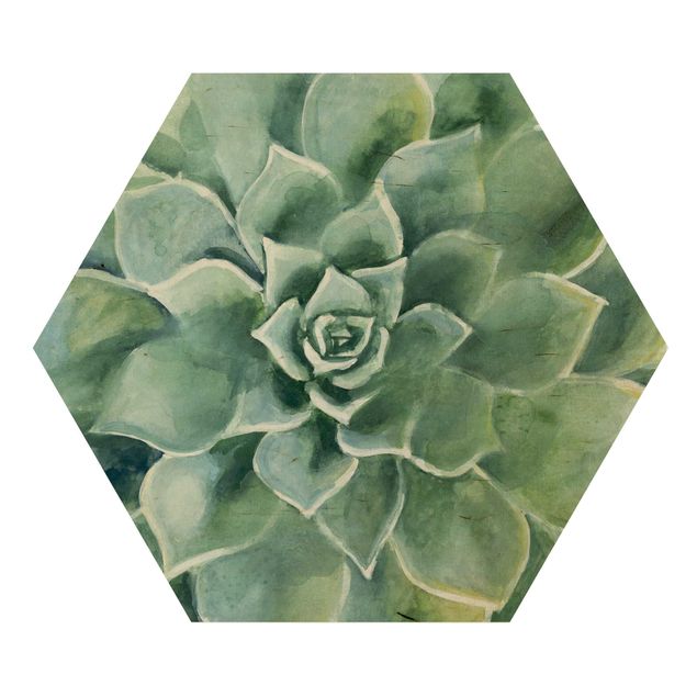 Hexagon Bild Holz - Sukkulente Aquarell Dunkel