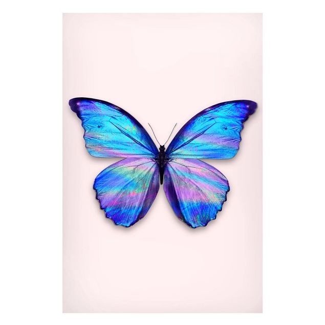 Decoración cocina Holographic Butterfly
