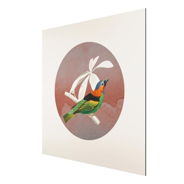 Cuadros animales Bird Collage In A Circle ll