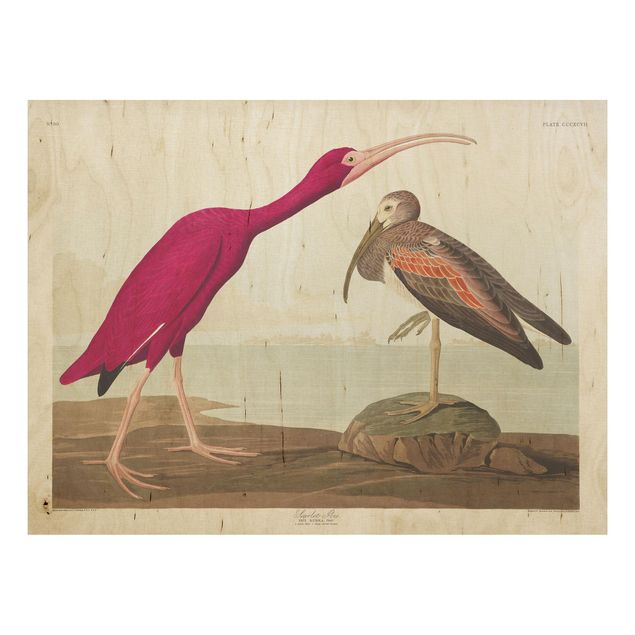 Cuadros de madera paisajes Vintage Board Red Ibis