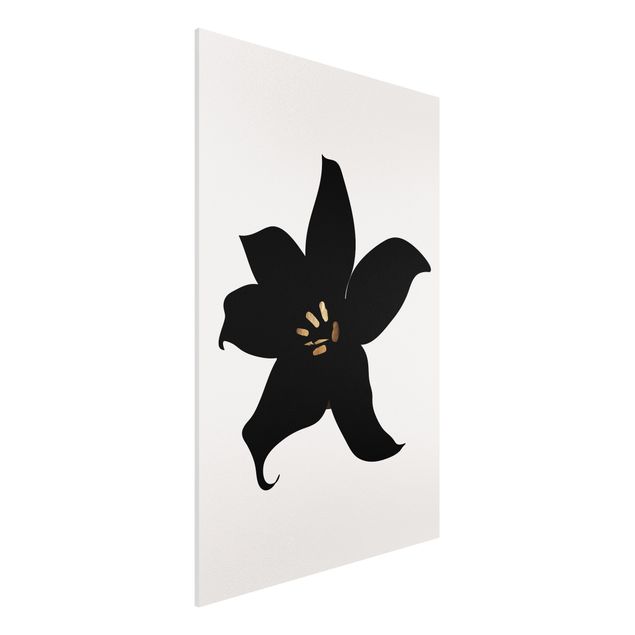 Cuadros de orquideas Graphical Plant World - Orchid Black And Gold