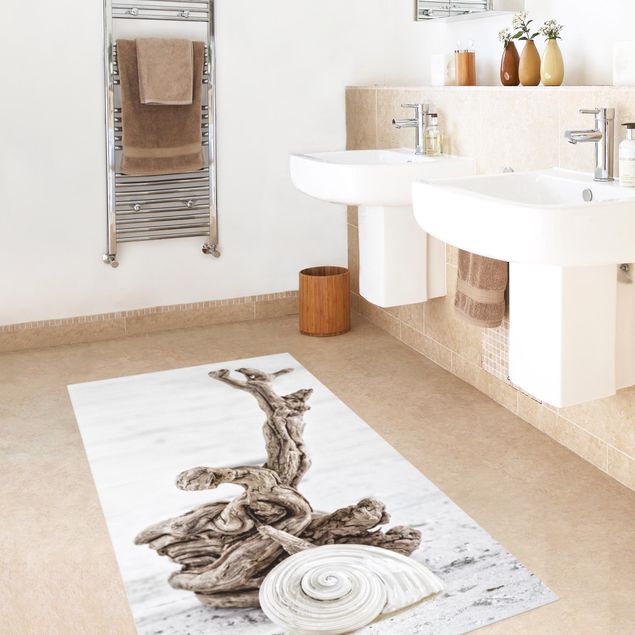 Decoración cocina White Snail Shell And Root Wood