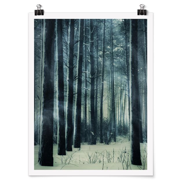 cuadros-3d Mystical Winter Forest