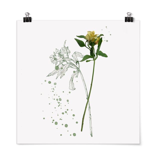 Cuadros de plantas Botanical Watercolour - Lily