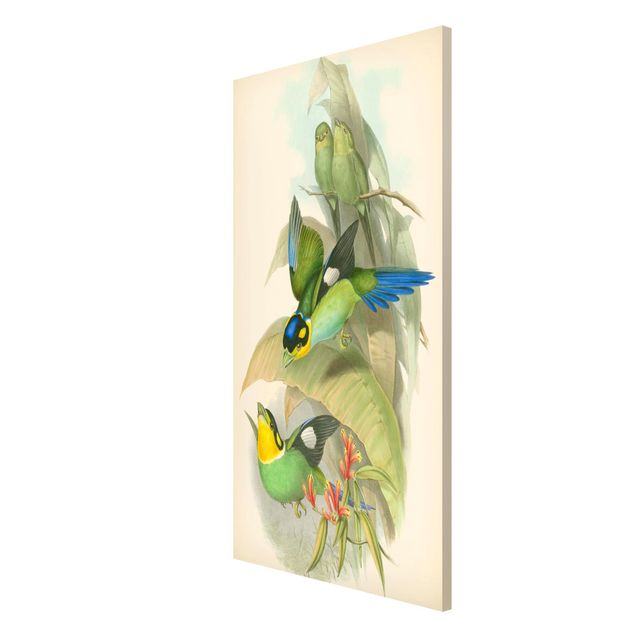 Cuadros de plantas Vintage Illustration Tropical Birds