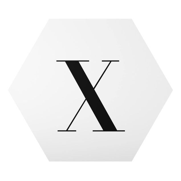 Cuadros modernos Letter Serif White X