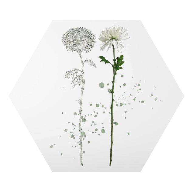 Cuadros modernos y elegantes Botanical Watercolour - Dandelion