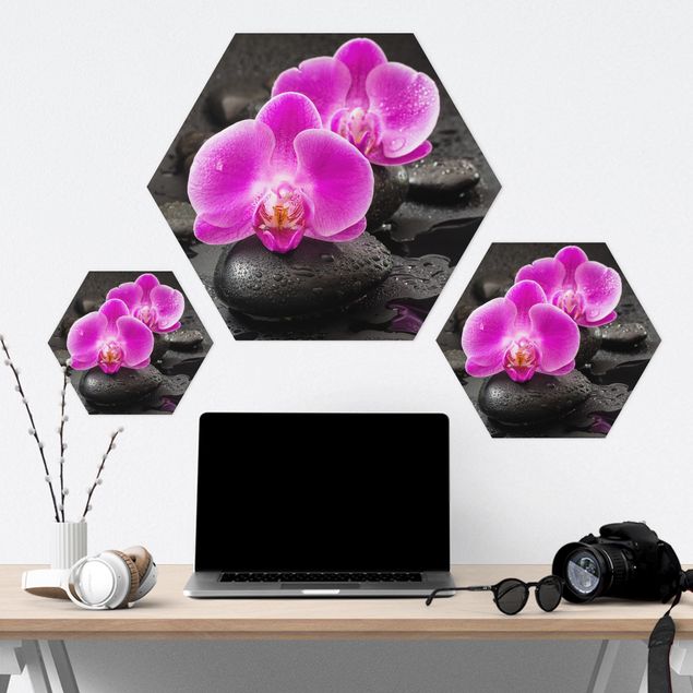 Hexagon Bild Forex - Pinke Orchideenblüten auf Steinen mit Tropfen