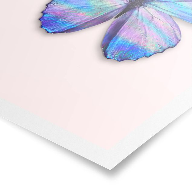 Póster animales Holographic Butterfly