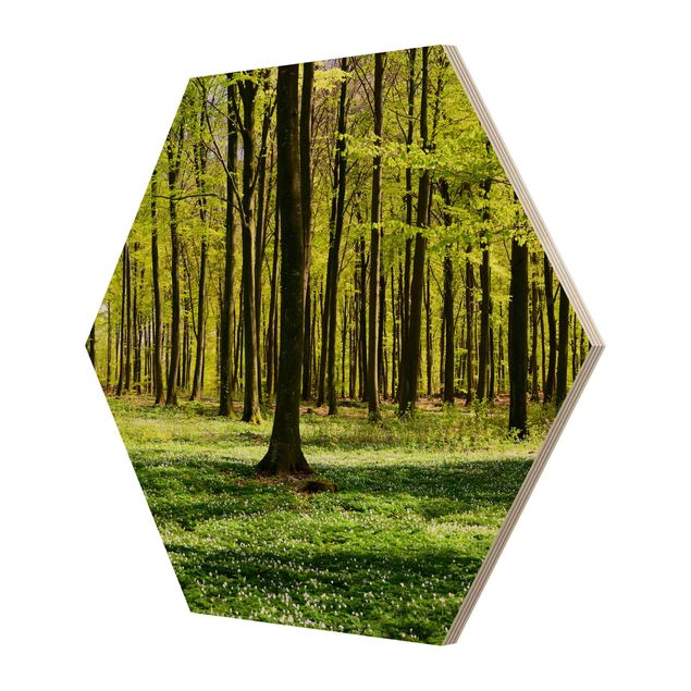 Hexagon Bild Holz - Waldwiese