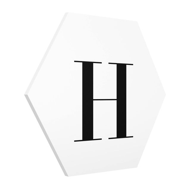 Cuadros modernos y elegantes Letter Serif White H