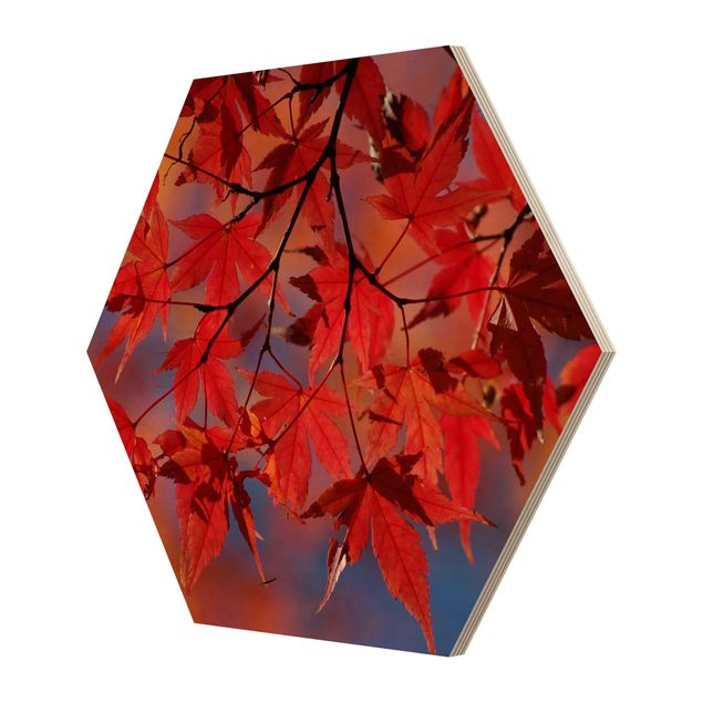 Hexagon Bild Holz - Red Maple