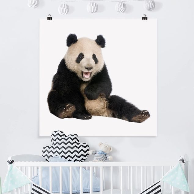 Cuadro de oso panda Laughing Panda