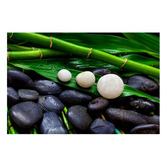 Cuadros cañas de bambú Green Bamboo With Zen Stones