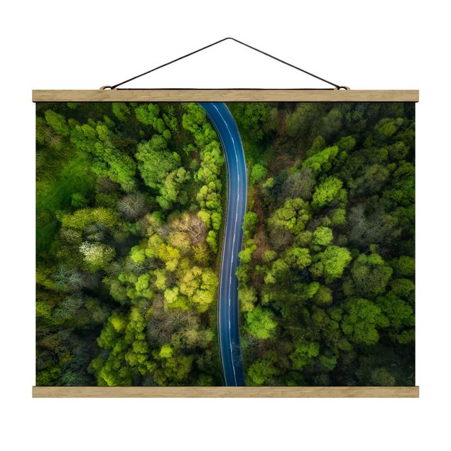 Cuadros paisajes naturaleza Aerial View - Asphalt Road In The Forest