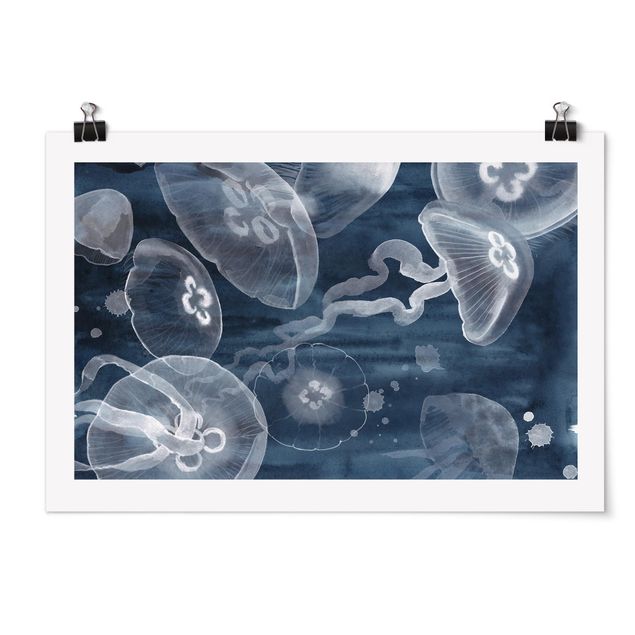Cuadros de animales Moon Jellyfish I