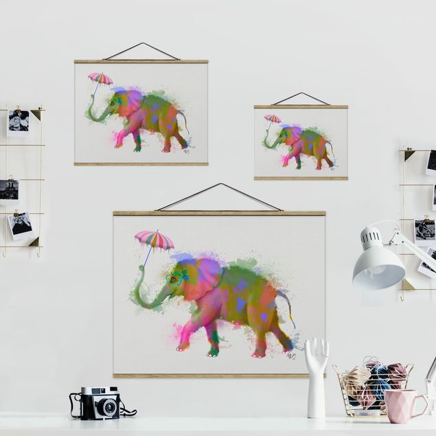 Cuadros decorativos Rainbow Splash Elephant