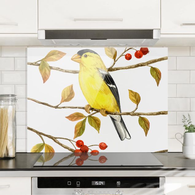 Decoración de cocinas Birds And Berries - American Goldfinch