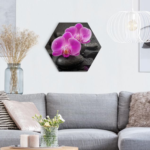 Cuadros de plantas Pink Orchid Flower On Stones With Drops