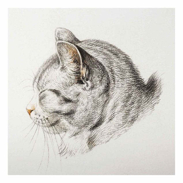 Cuadro con gato Vintage Drawing Cat III