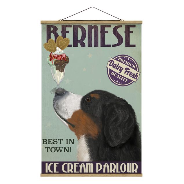 Cuadros vintage Bernese Mountain Dog With Ice
