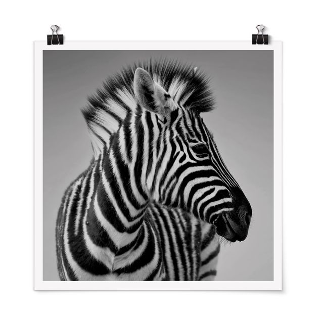 Láminas blanco y negro para enmarcar Zebra Baby Portrait II