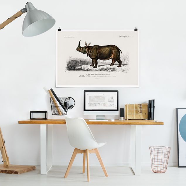 Cuadro con paisajes Vintage Board Rhino