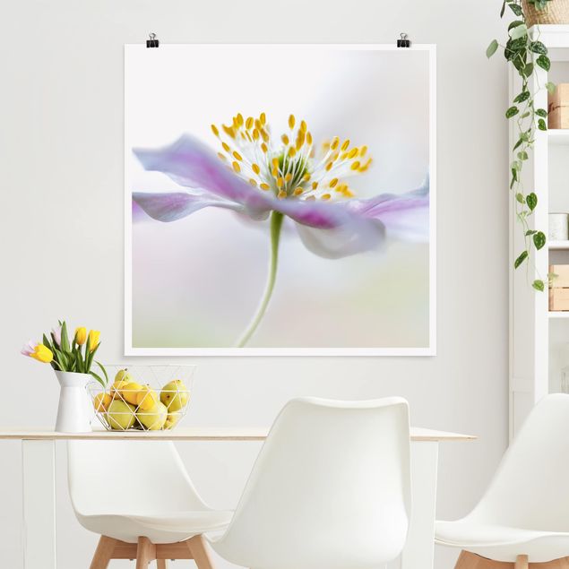 Lámina de flores Windflower In White