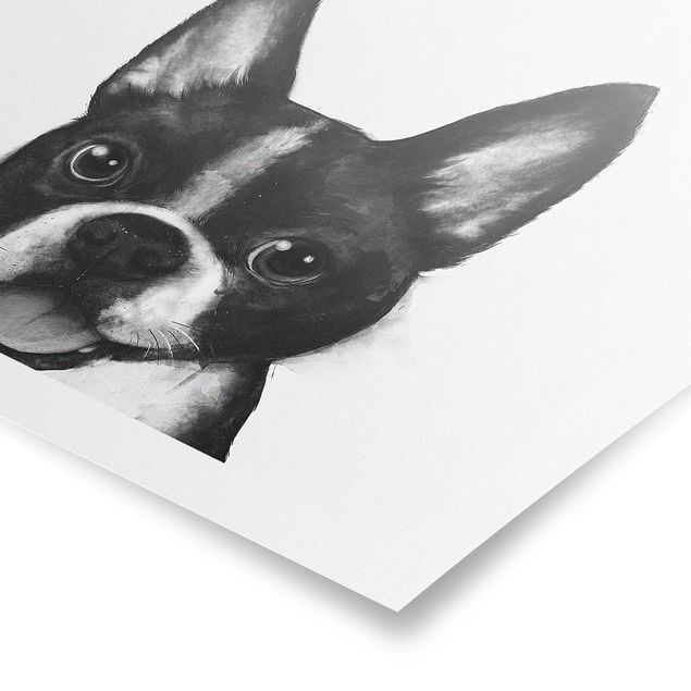 Láminas animales Illustration Dog Boston Black And White Painting