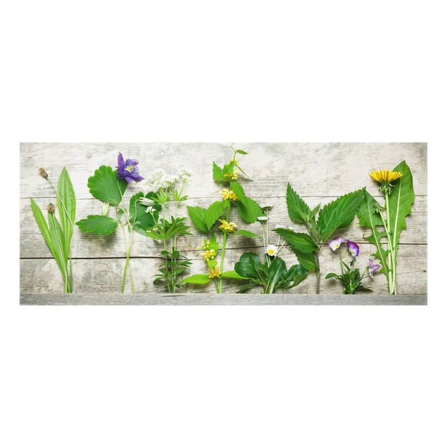 Paneles de vidrio para cocinas Medicinal And Wild Herbs